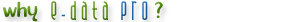 data conversion services